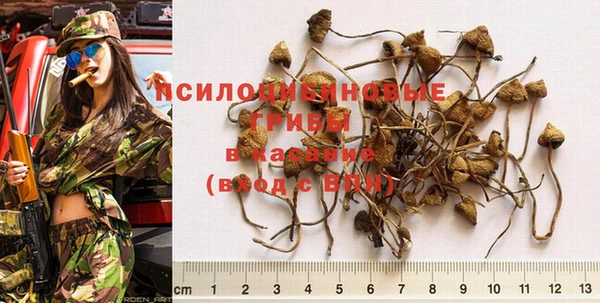 синтетический гашиш Касимов